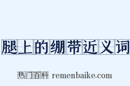 腿上的绷带近义词是什么意思的图片